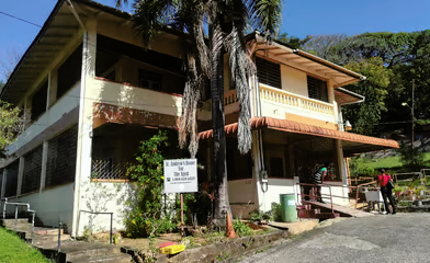 Exterior of the St Andrews home with palm trees