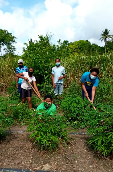 Volunteers working together in a garden